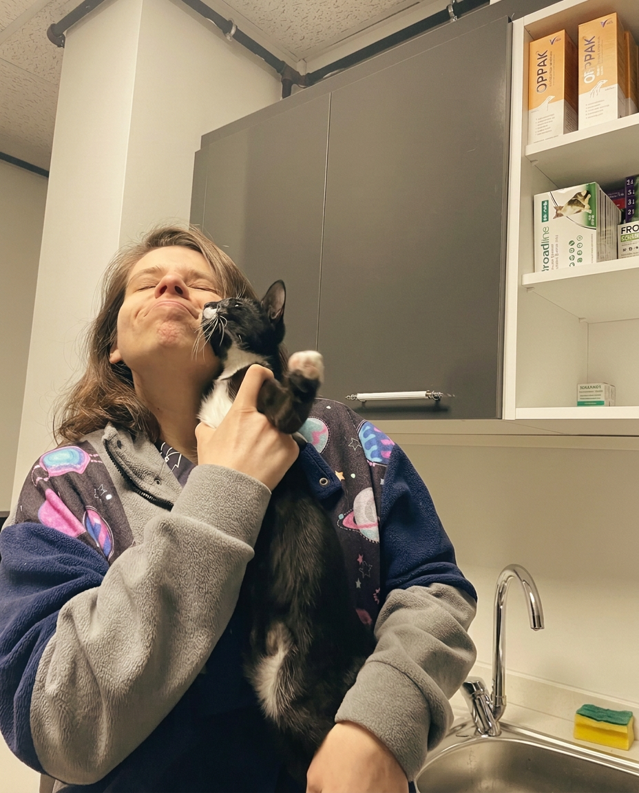 Klinik sahibi siyah beyaz kediyi kucağında severken